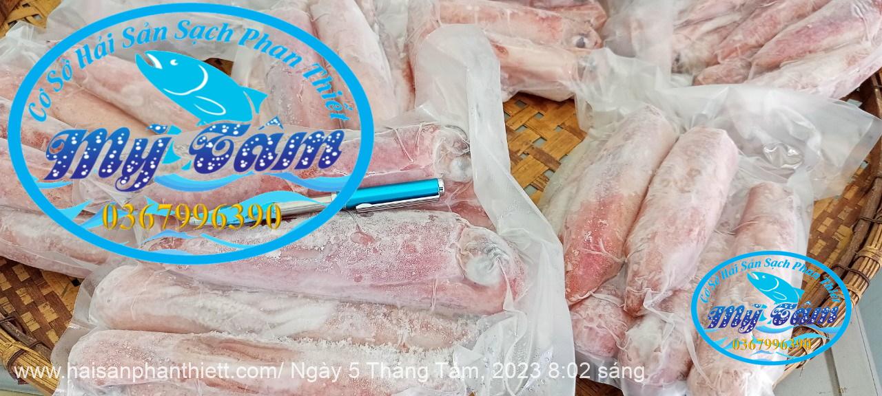 Muc Ong Tuoi Size 8 10 Con Kg Muc Ong Tuoi Size 8 10 Con Kg