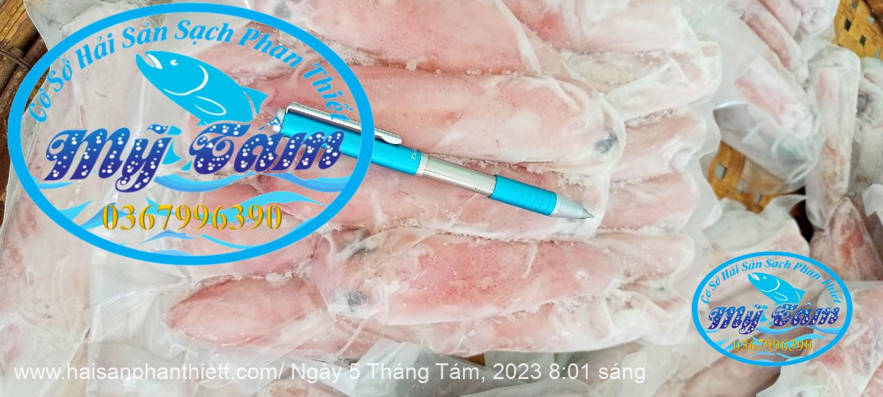 Muc Ong Tuoi Size 12 14 Con Kg Muc Ong Tuoi Size 12 14 Con Kg