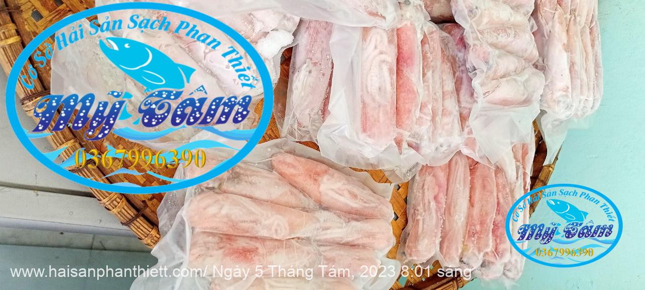 Muc Ong Tuoi Size 12 14 Con Kg Muc Ong Tuoi Size 12 14 Con Kg