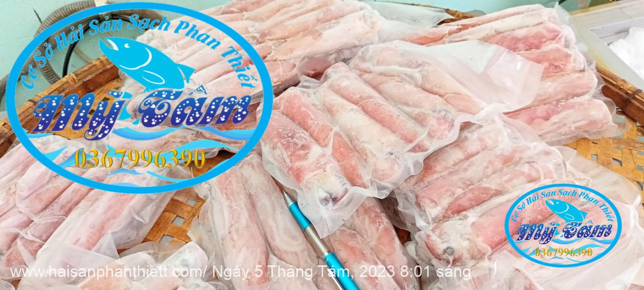 Muc Ong Tuoi Size 14 20 Con Kg Muc Ong Tuoi Size 14 20 Con Kg