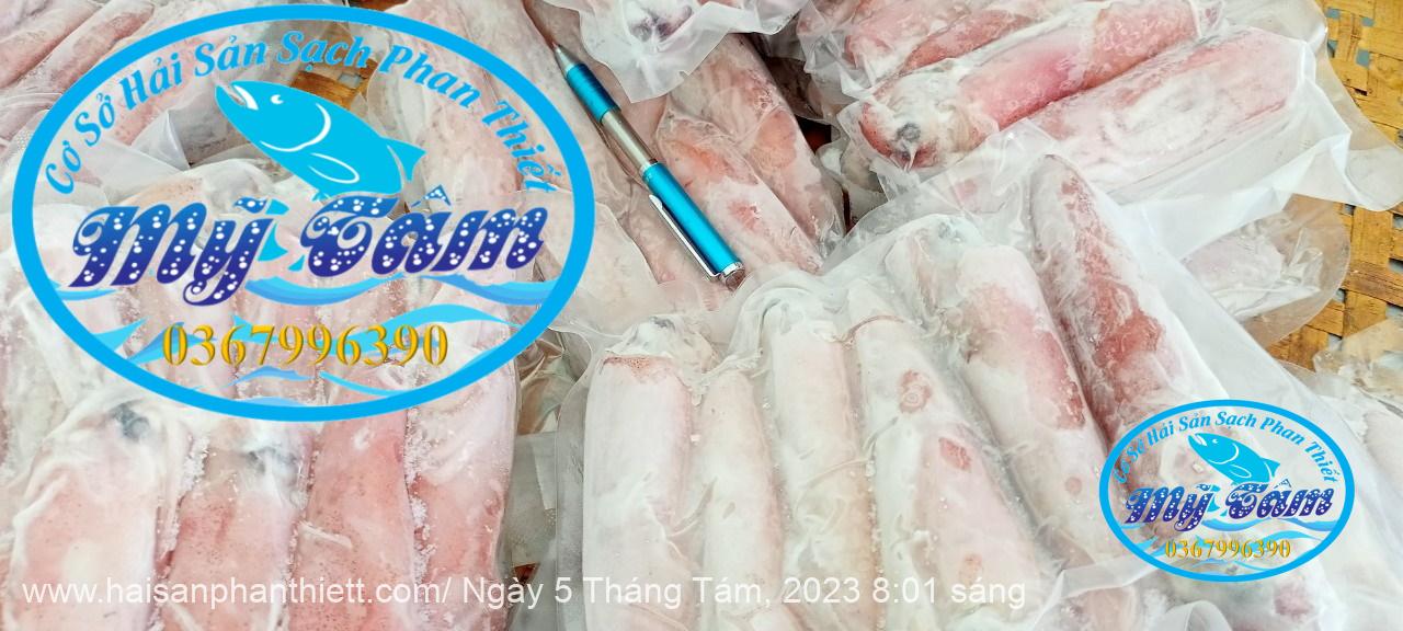 Muc Ong Tuoi Size 14 20 Con Kg Muc Ong Tuoi Size 14 20 Con Kg