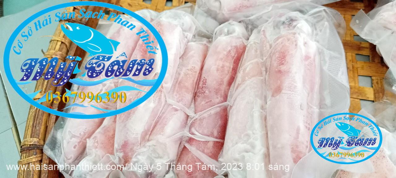 Muc Ong Tuoi Size 14 20 Con Kg Muc Ong Tuoi Size 14 20 Con Kg