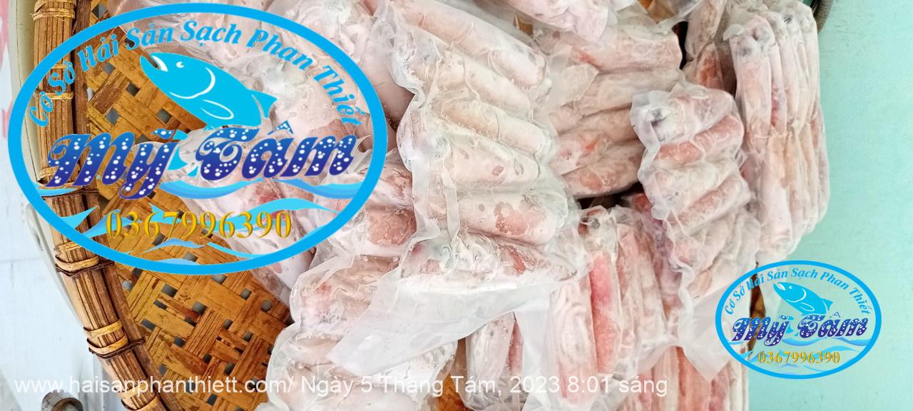 Muc Ong Tuoi Size 14 20 Con Kg Muc Ong Tuoi Size 14 20 Con Kg