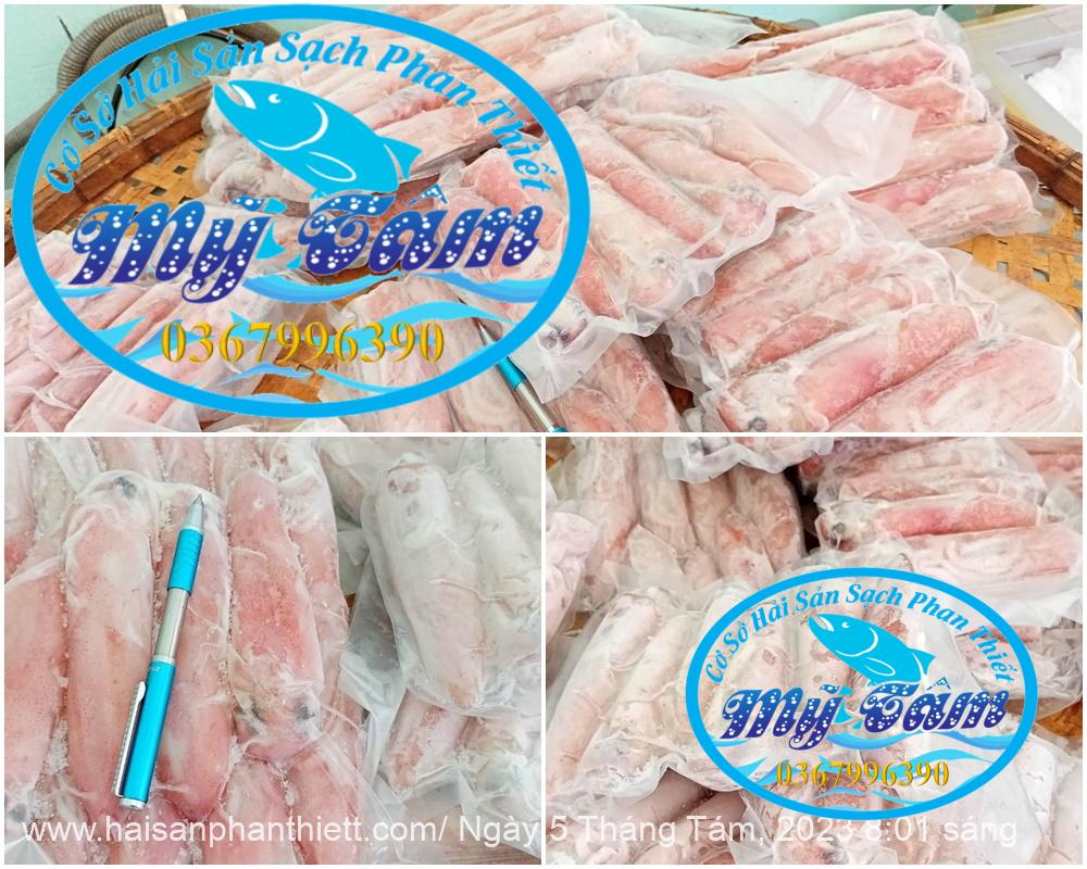 Muc Ong Tuoi Size 14 20 Con Kg Muc Ong Tuoi Size 14 20 Con Kg