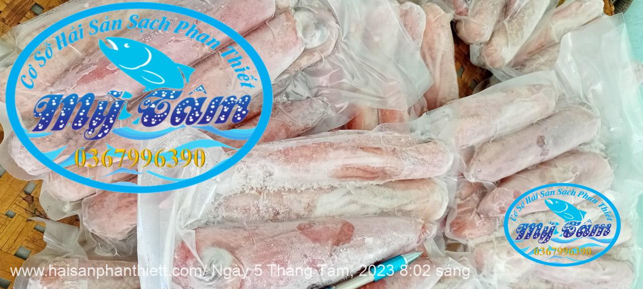 Muc Ong Tuoi Size 5 7 Con Kg Muc Ong Tuoi Size 5 7 Con Kg