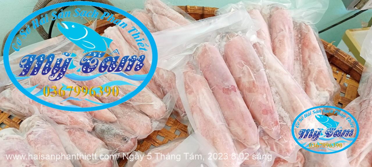 Muc Ong Tuoi Size 5 7 Con Kg Muc Ong Tuoi Size 5 7 Con Kg