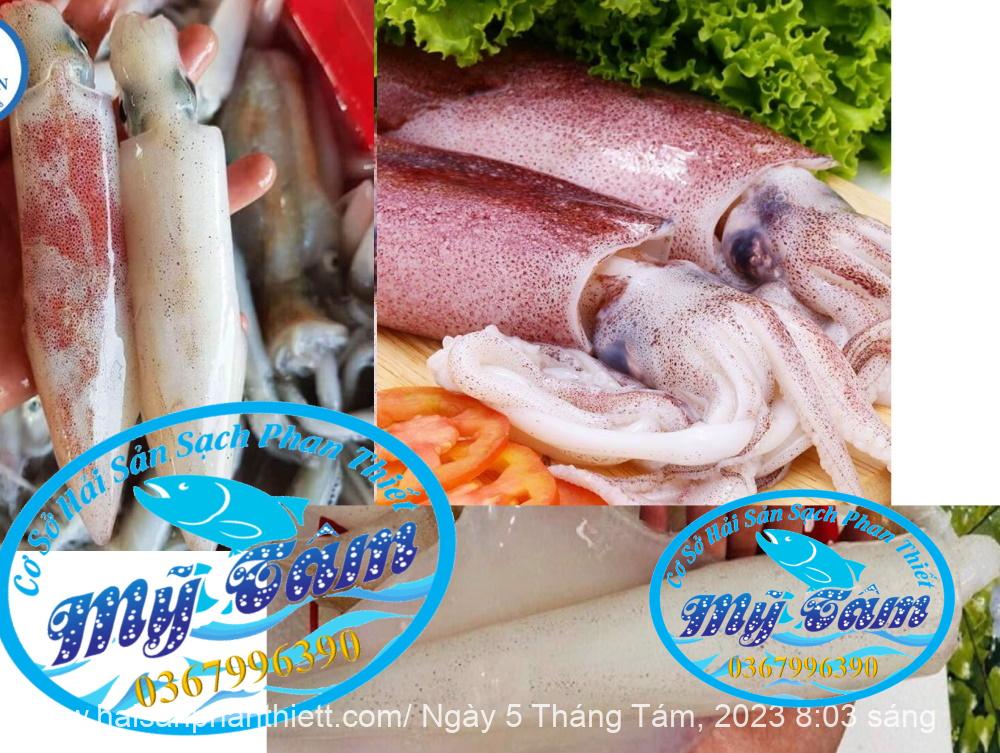 Muc La 1 Nang 1 2 Con 1kg mực ống 3/4 con