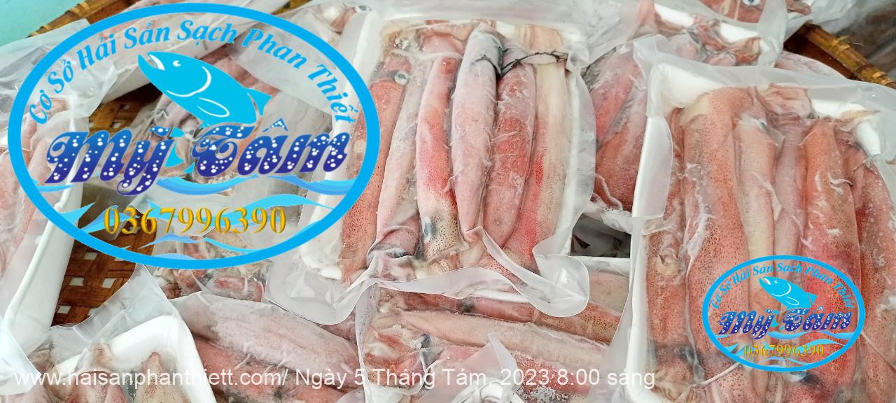 Muc Trung Size 12up Loai 1 Gia Si Muc Trung Size 12up Loai 1 Gia Si