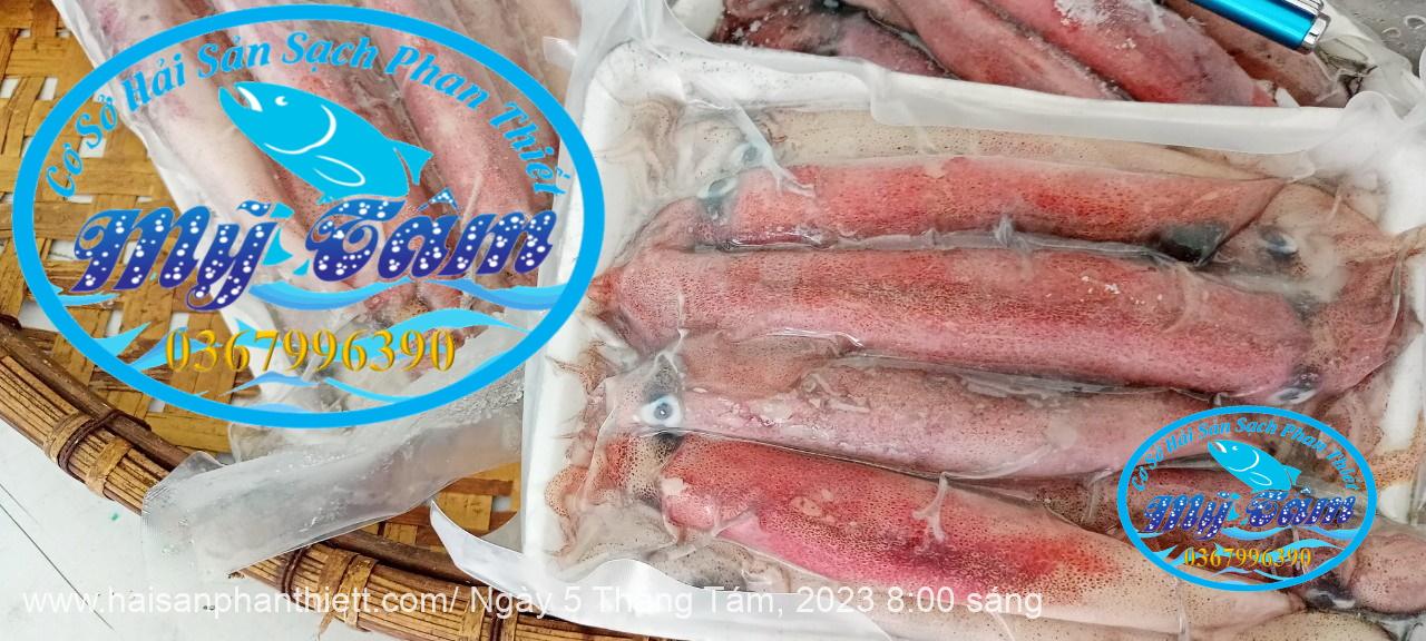 Muc Trung Size 12up Loai 1 Gia Si Muc Trung Size 12up Loai 1 Gia Si