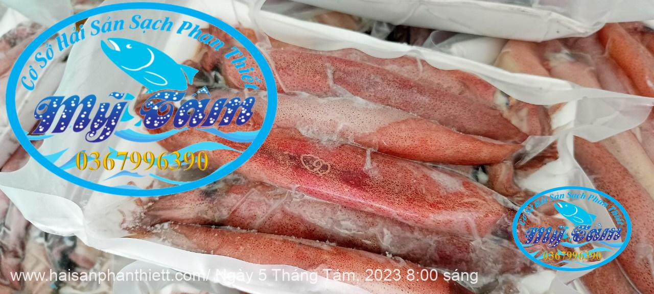 Muc Trung Size 12up Loai 1 Gia Si Muc Trung Size 12up Loai 1 Gia Si