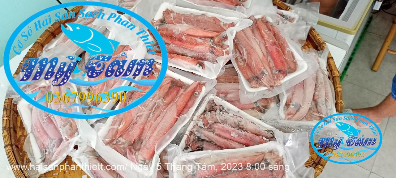 Muc Trung Size 12up Loai 1 Gia Si Muc Trung Size 12up Loai 1 Gia Si