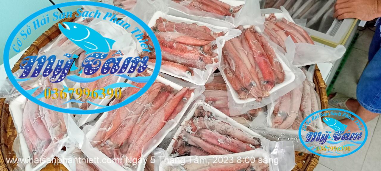 Muc Trung Size 12up Loai 1 Gia Si Muc Trung Size 12up Loai 1 Gia Si