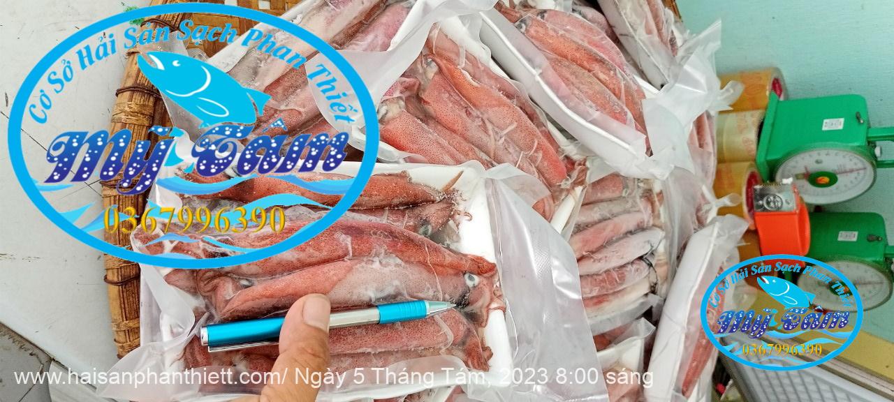 Muc Trung Size 12up Loai 1 Gia Si Muc Trung Size 12up Loai 1 Gia Si