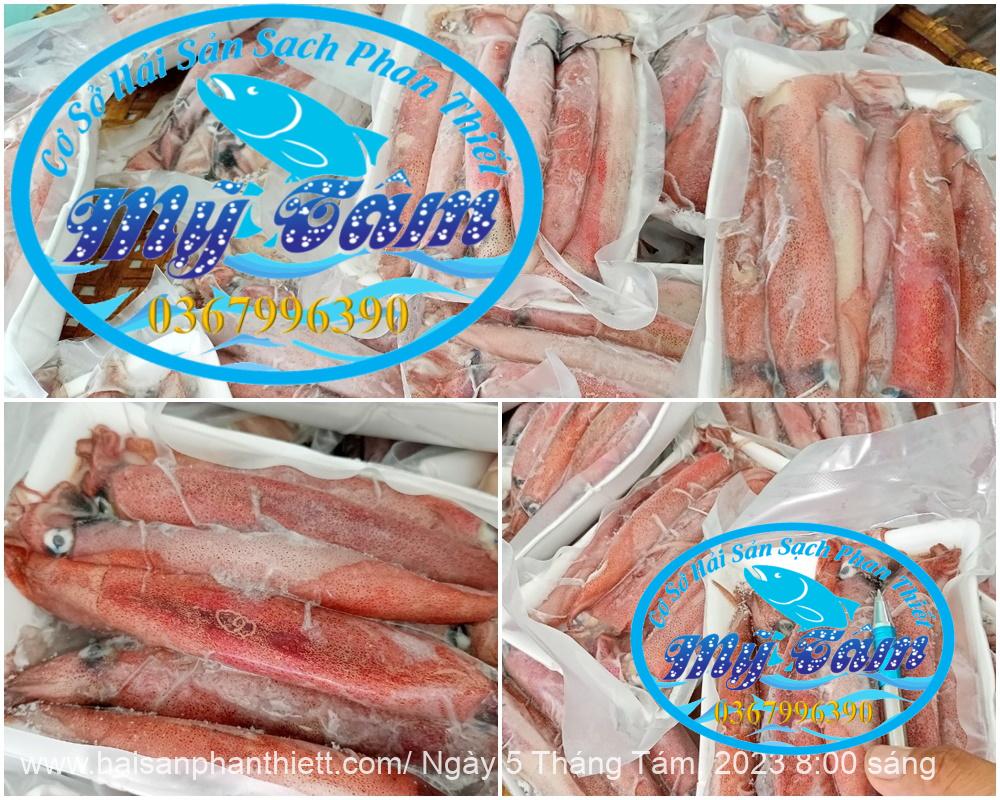 Muc Trung Size 12up Loai 1 Gia Si Muc Trung Size 12up Loai 1 Gia Si