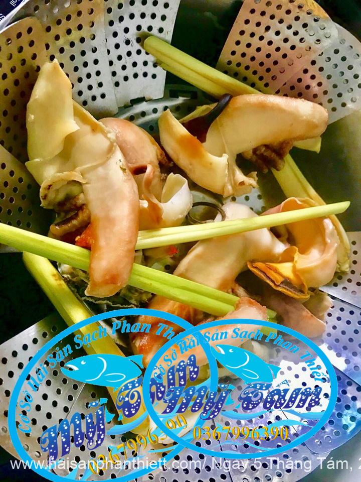 Ruot Oc Ban Tay Phan Thiet Ruot Oc Ban Tay Phan Thiet