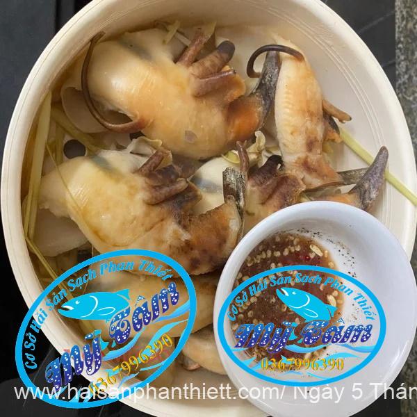 Ruot Oc Ban Tay Phan Thiet Ruot Oc Ban Tay Phan Thiet