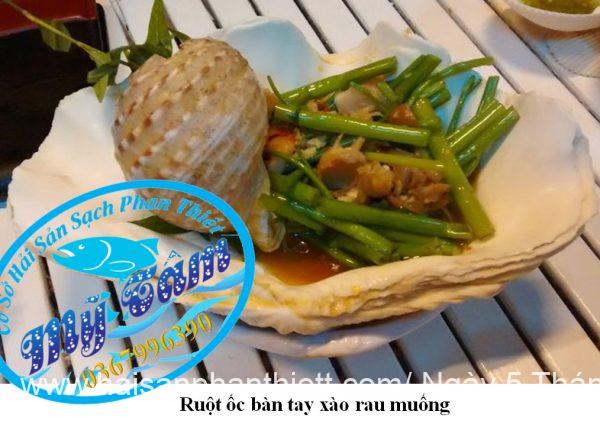 Ruot Oc Ban Tay Phan Thiet