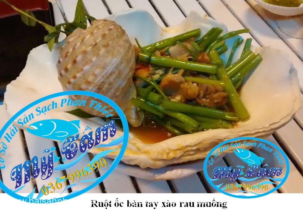 Ruot Oc Ban Tay Phan Thiet Ruot Oc Ban Tay Phan Thiet