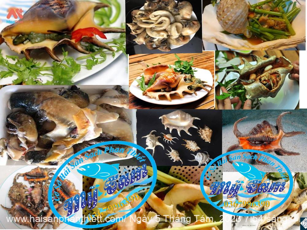 Ruot Oc Ban Tay Phan Thiet Ruot Oc Ban Tay Phan Thiet