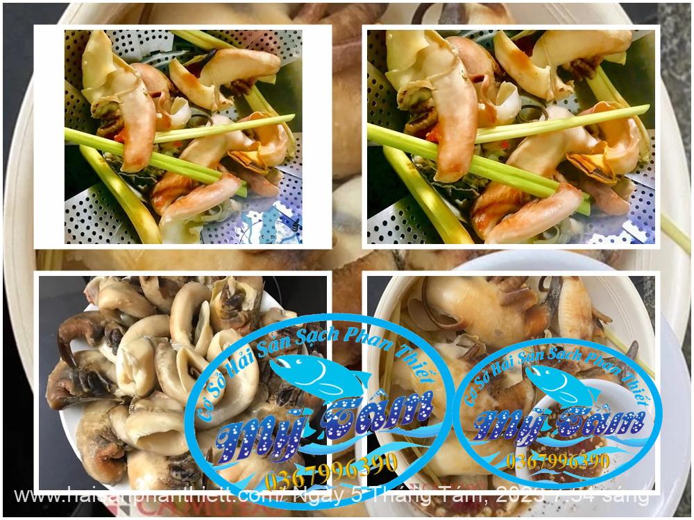 Ruot Oc Ban Tay Phan Thiet Ruot Oc Ban Tay Phan Thiet