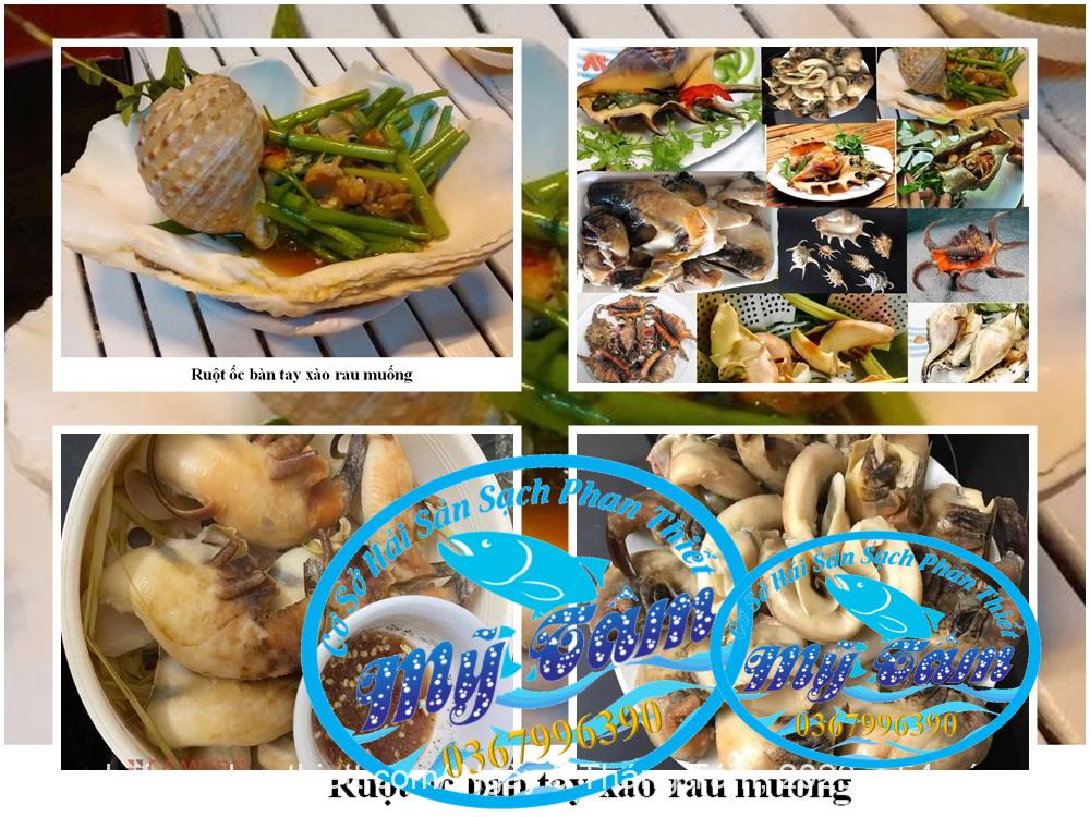 Ruot Oc Ban Tay Phan Thiet Ruot Oc Ban Tay Phan Thiet