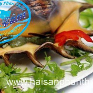 Ruot Oc Ban Tay Phan Thiet