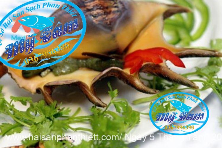 Ruot Oc Ban Tay Phan Thiet Ruot Oc Ban Tay Phan Thiet