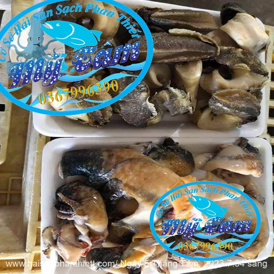 Ruot Oc Ban Tay Phan Thiet Ruot Oc Ban Tay Phan Thiet