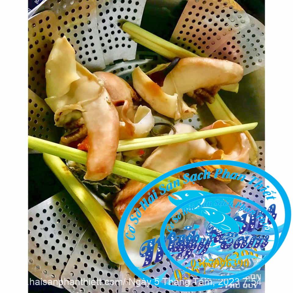 Ruot Oc Ban Tay Phan Thiet Ruot Oc Ban Tay Phan Thiet