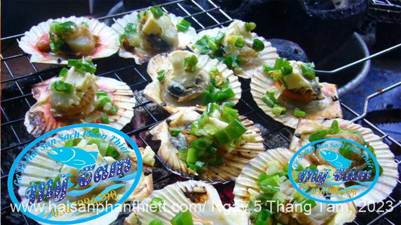 Coi So Diep Tuoi Cap Dong Lanh Coi So Diep Tuoi Cap Dong Lanh