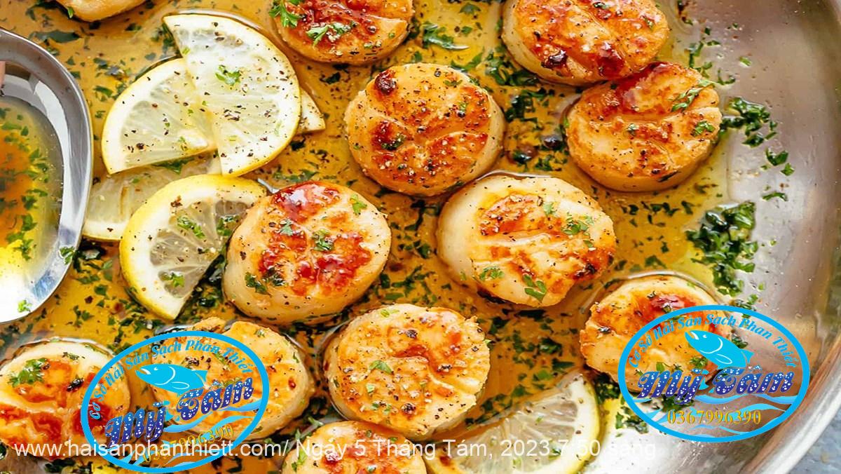 Coi So Diep Tuoi Cap Dong Lanh Coi So Diep Tuoi Cap Dong Lanh