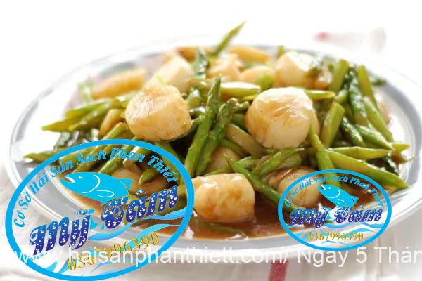 Coi So Diep Tuoi Cap Dong Lanh Coi So Diep Tuoi Cap Dong Lanh