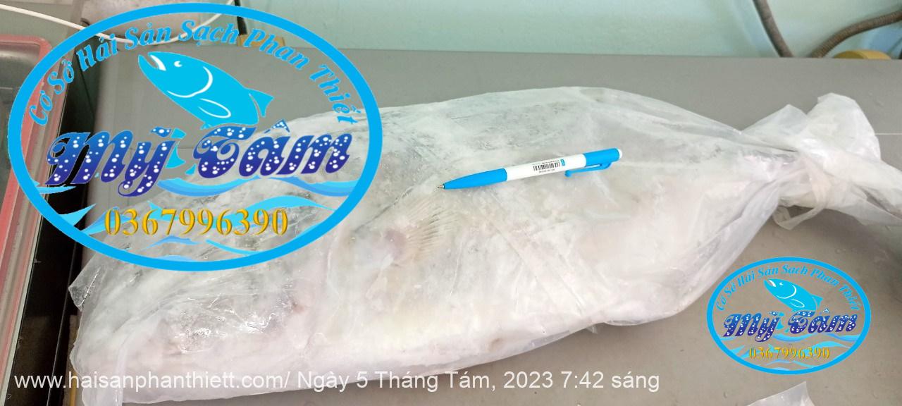 Ca Be Cap Dong Lanh Ca Be Cap Dong Lanh