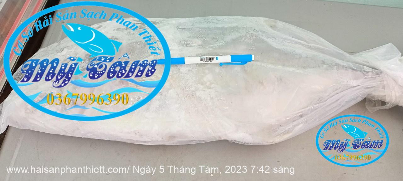 Ca Be Cap Dong Lanh Ca Be Cap Dong Lanh