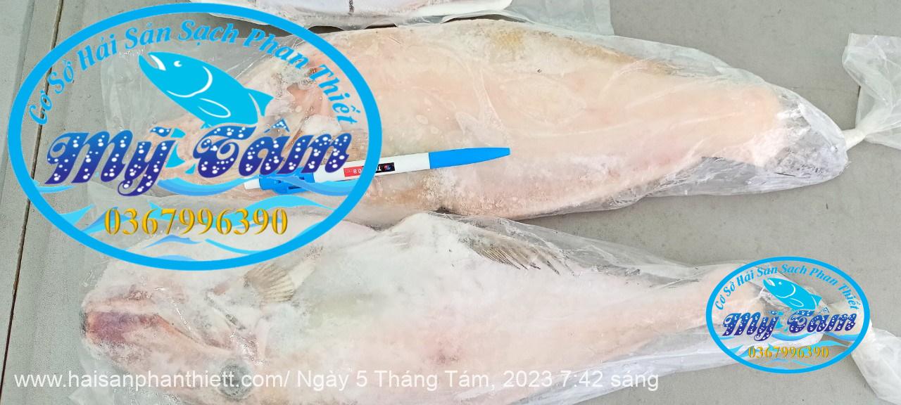 Ca Bo Giay Cap Dong Lanh Ca Bo Giay Cap Dong Lanh