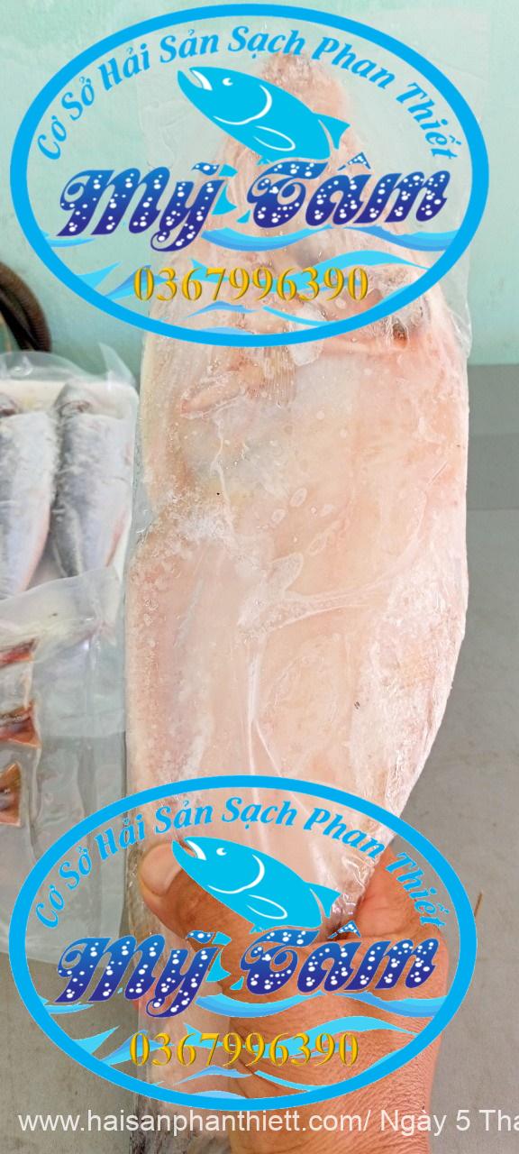 Ca Bo Giay Cap Dong Lanh Ca Bo Giay Cap Dong Lanh