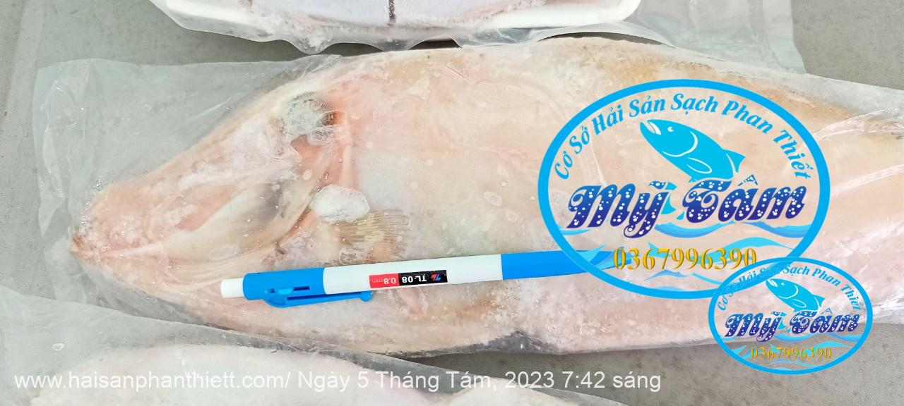 Ca Bo Giay Cap Dong Lanh Ca Bo Giay Cap Dong Lanh