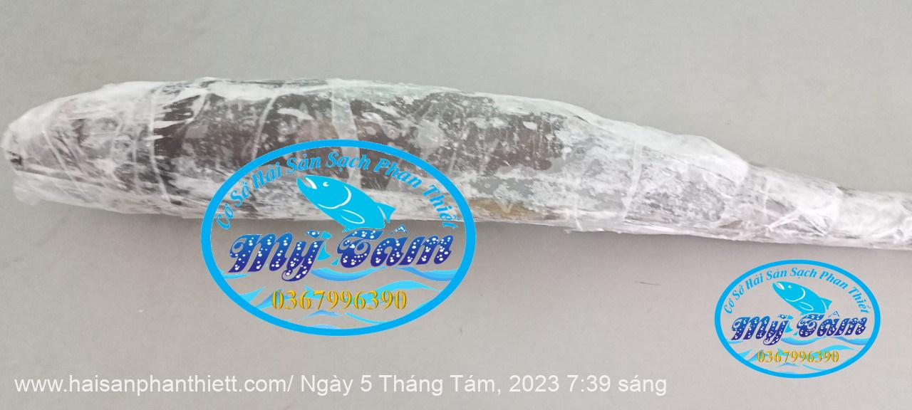Ca Bop Nguyen Con My Tam Phan Thiet Ca Bop Nguyen Con My Tam Phan Thiet