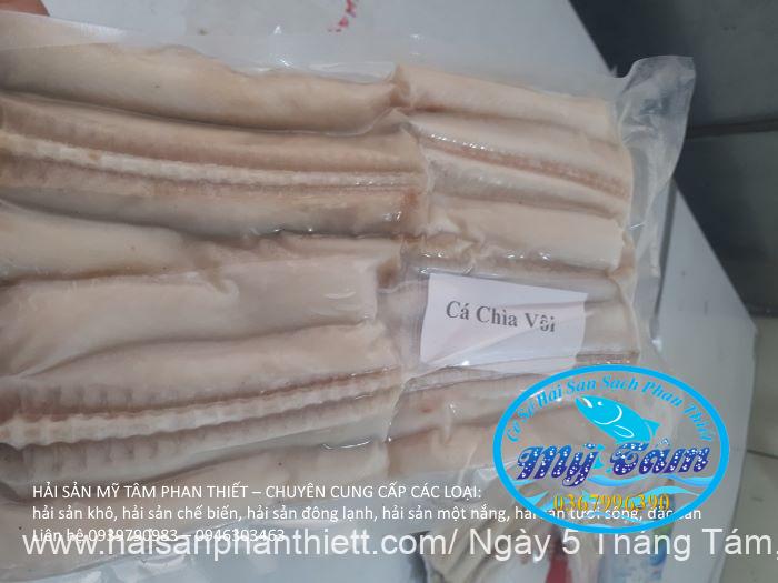 Ca Chia Voi Mui Ne Phan Thiet Ca Chia Voi Mui Ne Phan Thiet