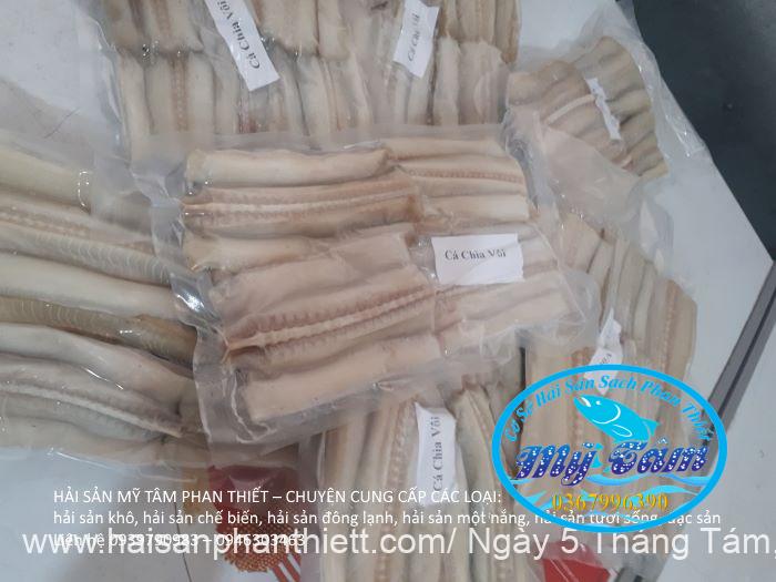 Ca Chia Voi Mui Ne Phan Thiet Ca Chia Voi Mui Ne Phan Thiet