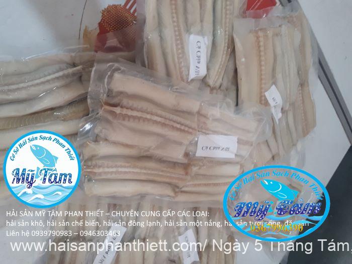 Ca Chia Voi Mui Ne Phan Thiet Ca Chia Voi Mui Ne Phan Thiet