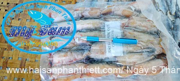 Ca Chuong 1 Nang Phi Le