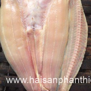 Diem Ban Ca Dua Tai Phan Thiet. Hai San Uy Tin My Tam Tai Phan Thiet