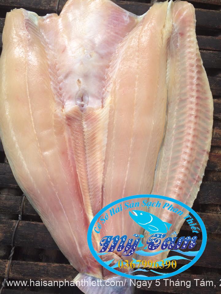 Diem Ban Ca Dua Tai Phan Thiet. Hai San Uy Tin My Tam Tai Phan Thiet Diem Ban Ca Dua Tai Phan Thiet. Hai San Uy Tin My Tam Tai Phan Thiet