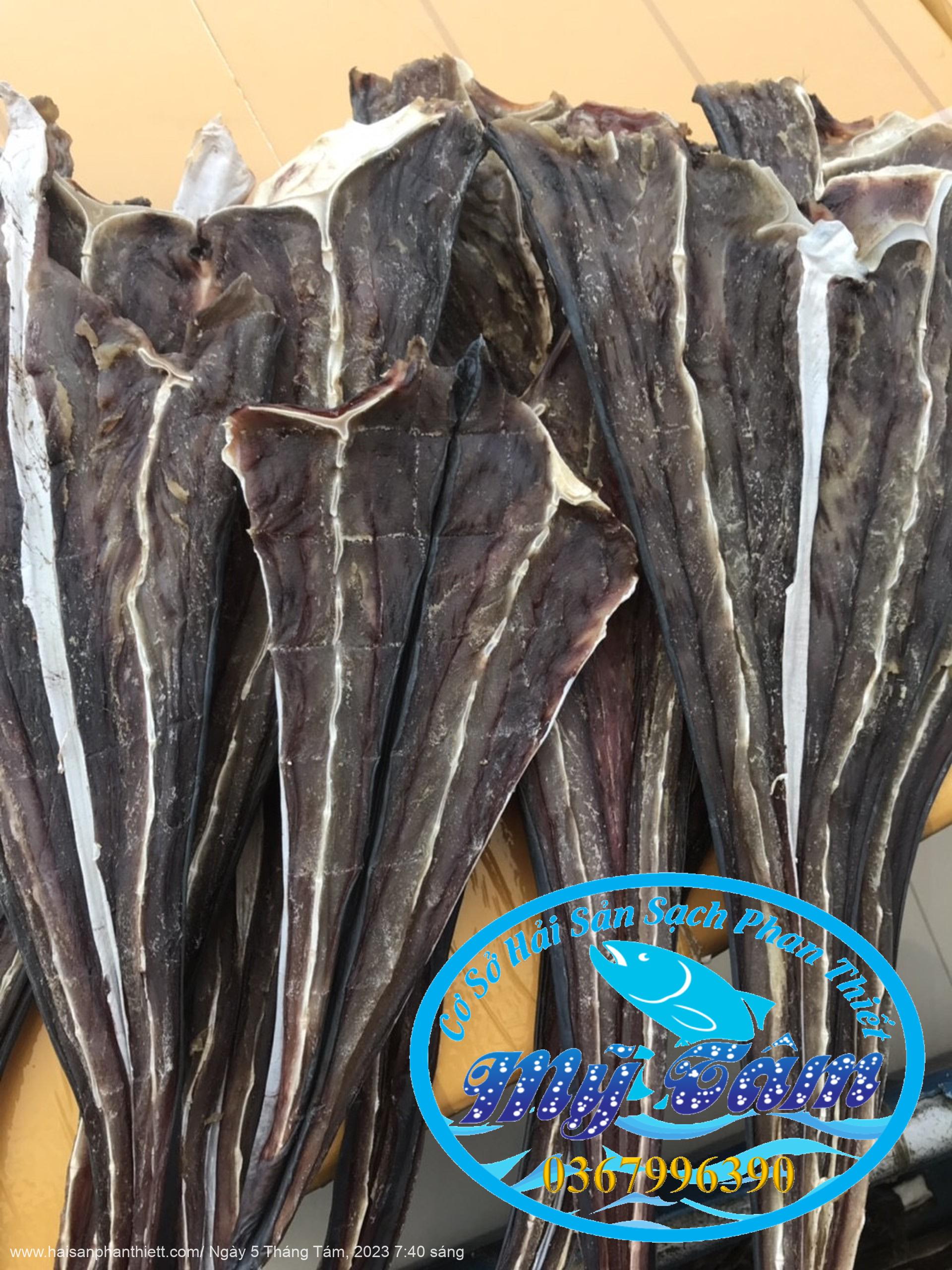 Ca Duoi O Den Phan Thiet Ca Duoi O Den Phan Thiet