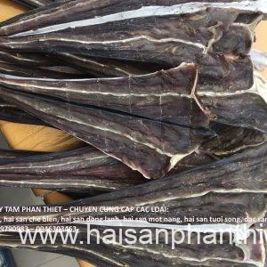 Ca Duoi Do Phan Thiet