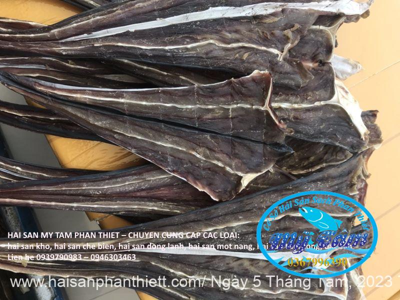 Ca Duoi Do Phan Thiet Ca Duoi Do Phan Thiet