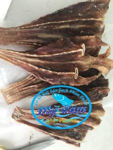 Ca Duoi O Thuong Phan Thiet