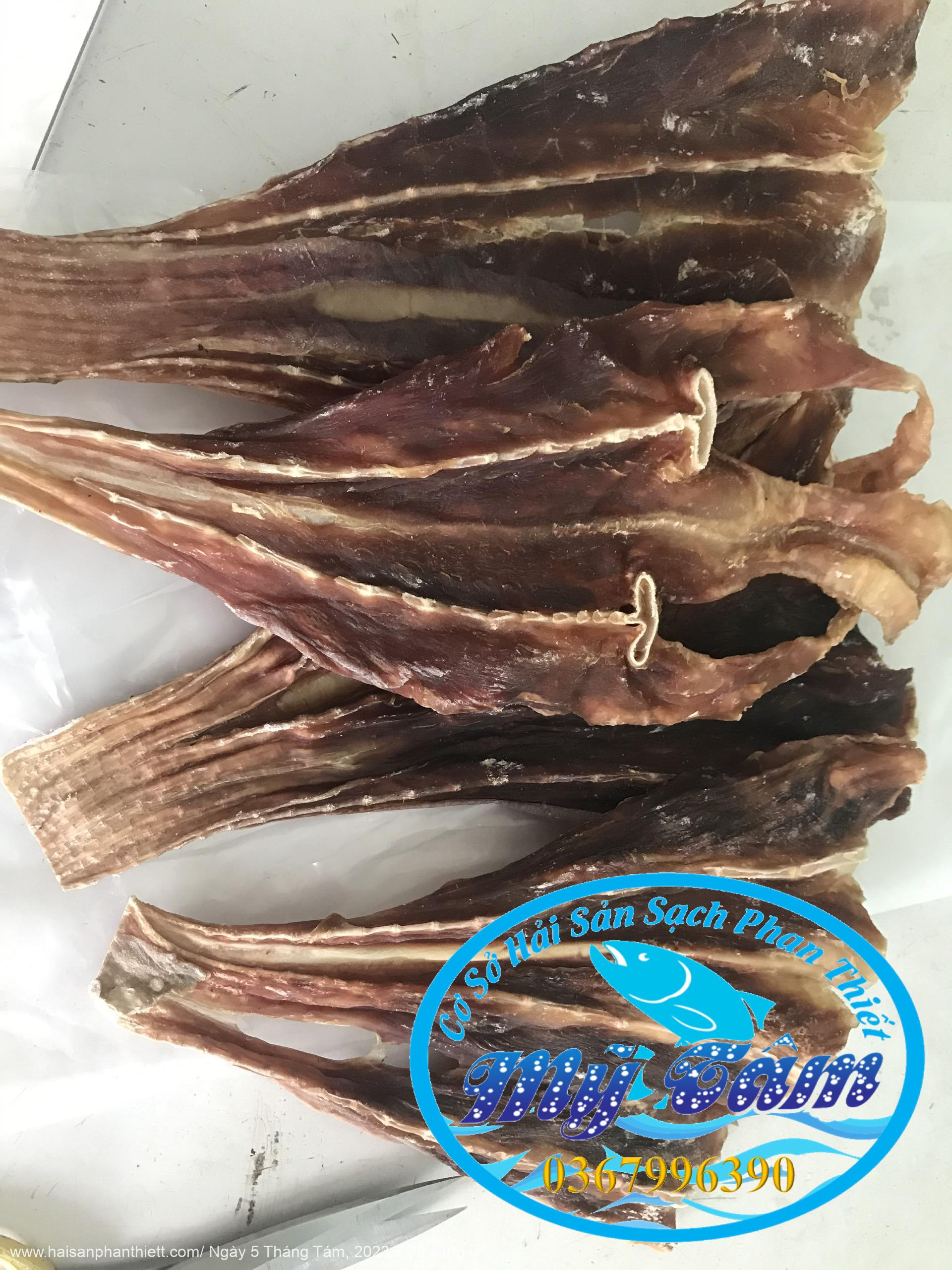 Ca Duoi O Thuong Phan Thiet Ca Duoi O Thuong Phan Thiet