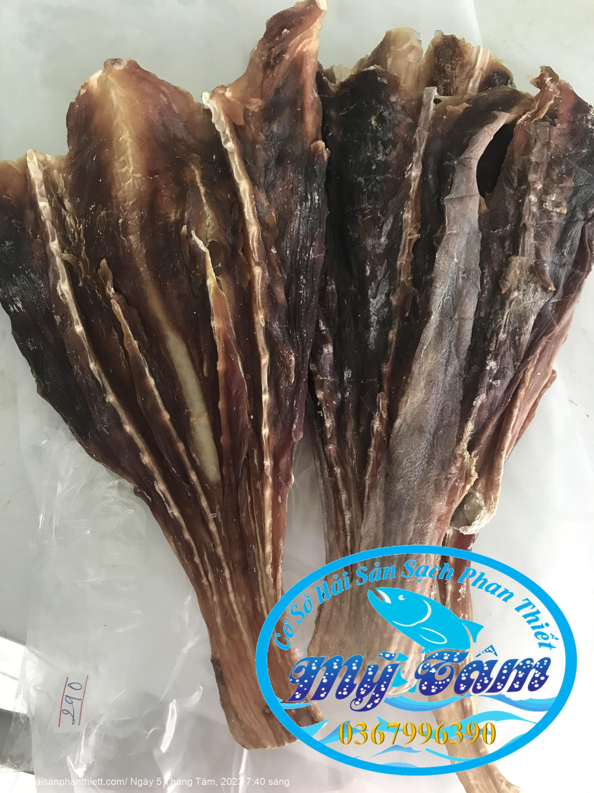 Ca Duoi O Thuong Phan Thiet Ca Duoi O Thuong Phan Thiet